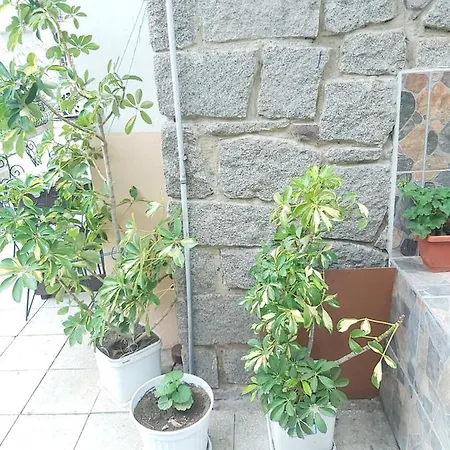 Kyshta Za Gosti Dari Rumi 1 Apartament *
