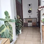 Kyshta Za Gosti Dari Rumi 1 *