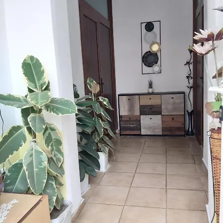 Kyshta Za Gosti Dari Rumi 1 *