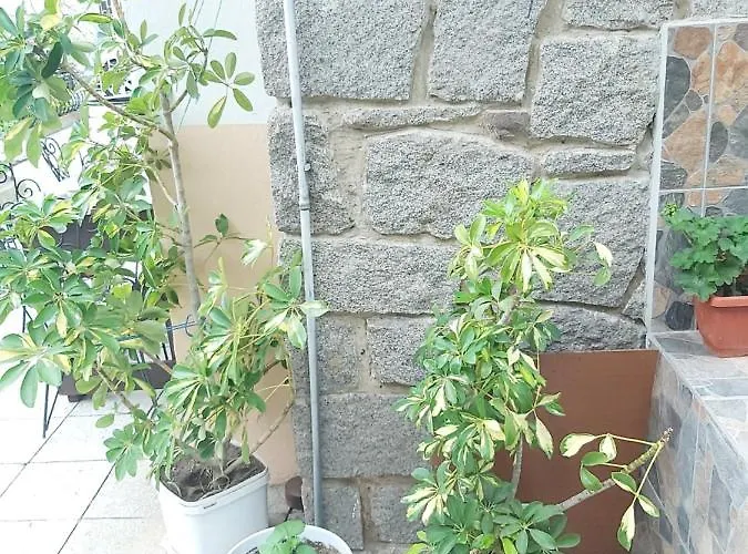 Kyshta Za Gosti Dari Rumi 1 Apartment *