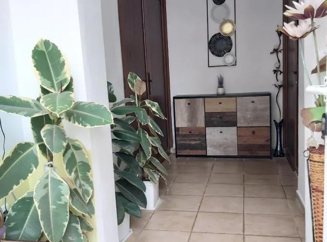 Kyshta Za Gosti Dari Rumi 1 *